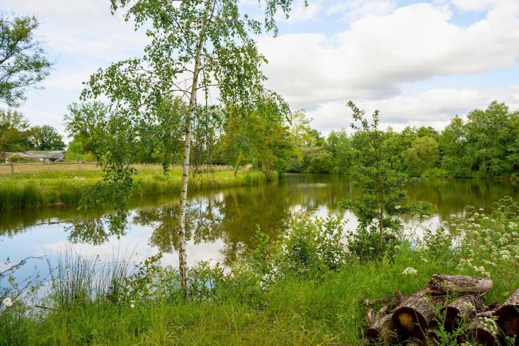 L'Evasion En Pierre Piscine Et Etang Prive Sevremoine Exterior foto
