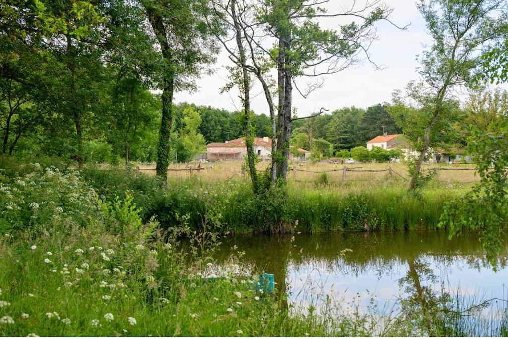 L'Evasion En Pierre Piscine Et Etang Prive Sevremoine Exterior foto